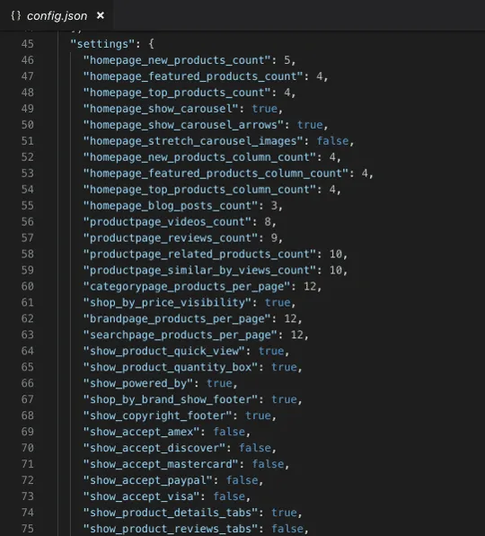 config.json example