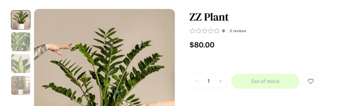 Out of Stock Message